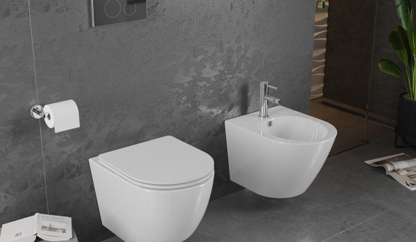 Millise WC-raami valida?