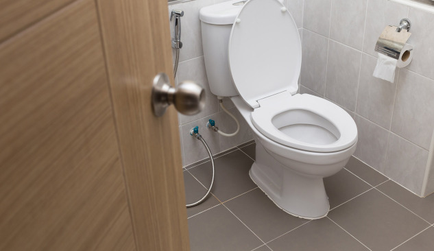 Kuidas õigesti valida kompakt-WC?