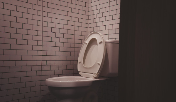 Kuidas osta head WC-kaant?