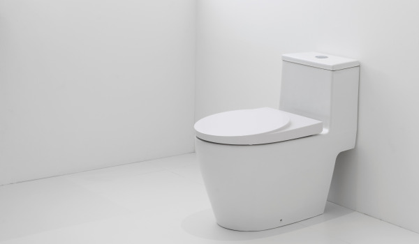 Kuidas sobitada WC-kaussi sisustusega?