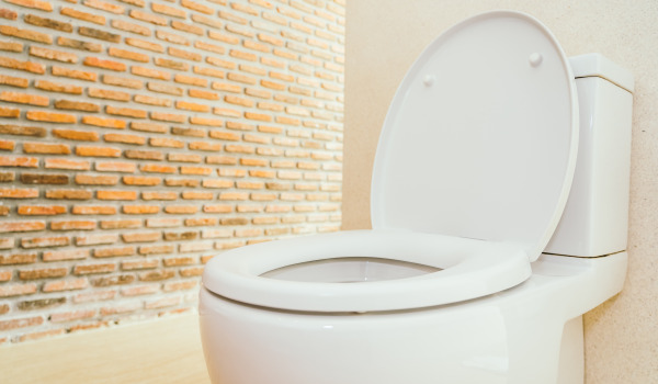 Mis on wc-sisseehitatud raam?