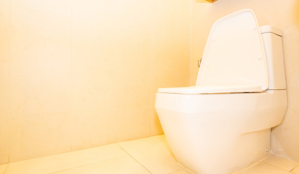 Milline WC loputuspakett valida?